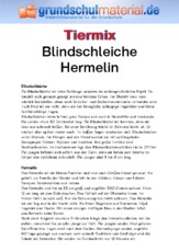 Blindschleiche - Hermelin.pdf